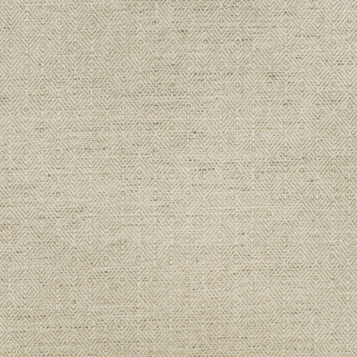 S2907 Birch by Greenhouse Fabric 79% Polyester, 21% Cotton INDIA 100,000 </p><p>Repeat: 1" H, 1.25" V 55" - Fabric Carolina -
