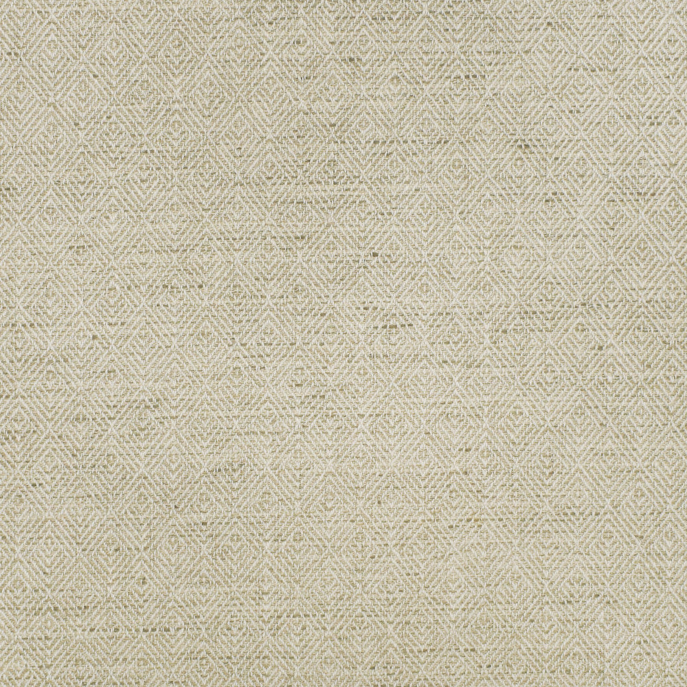 S2907 Birch by Greenhouse Fabric 79% Polyester, 21% Cotton India 100,000 double rubs </p><p>Repeat: 1" H, 1.25" V 55" - Fabric Carolina -