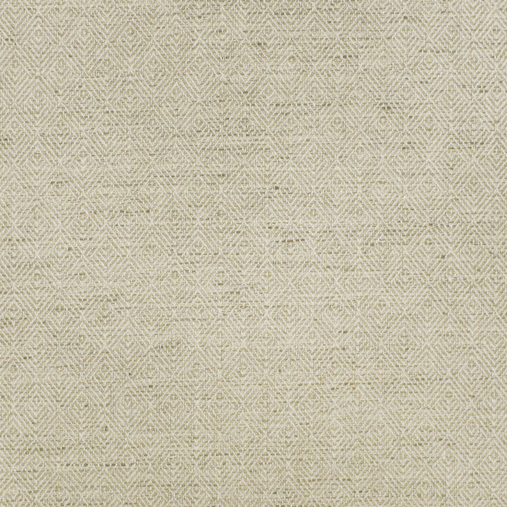 S2907 Birch by Greenhouse Fabric 79% Polyester, 21% Cotton India 100,000 double rubs </p><p>Repeat: 1" H, 1.25" V 55" - Fabric Carolina -
