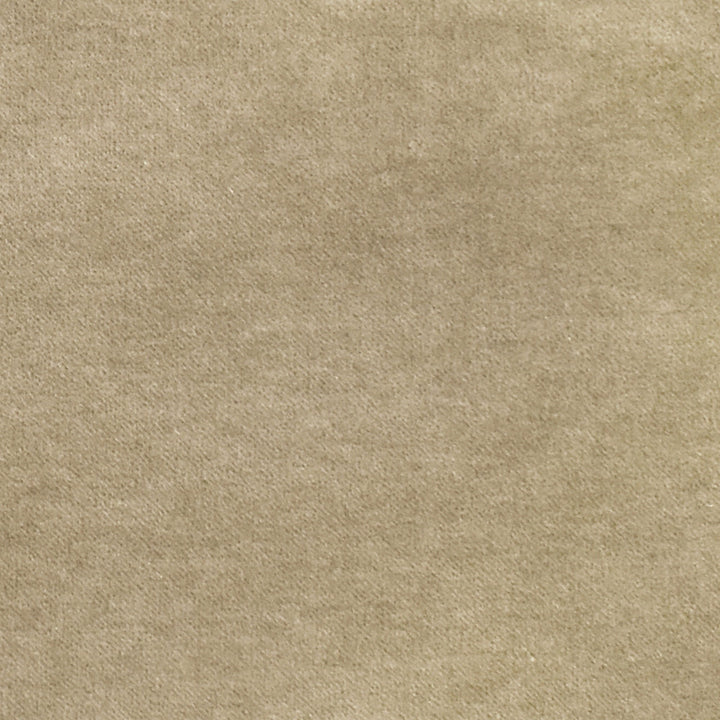 S2908 Abalone by Greenhouse Fabric S39: Capri Neutrals 80% Polyester, 20% Cotton China 100,000 double rubs </p><p>Repeat: None 55" - Fabric Carolina -