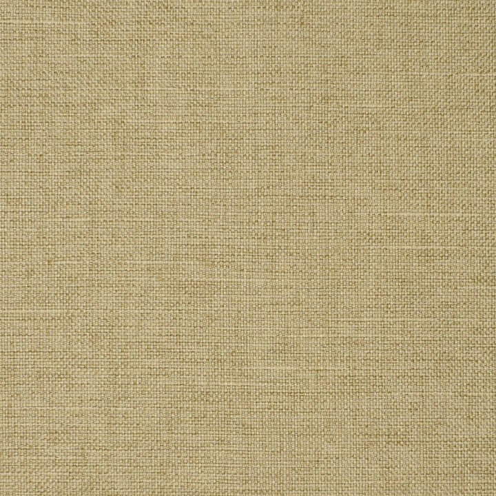 S2912 Linen by Greenhouse Fabric 100% Polyester China 51,000 double rubs </p><p>Repeat: None 55" - Fabric Carolina -