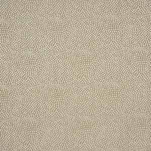 S2961 Constellation by Greenhouse Fabric