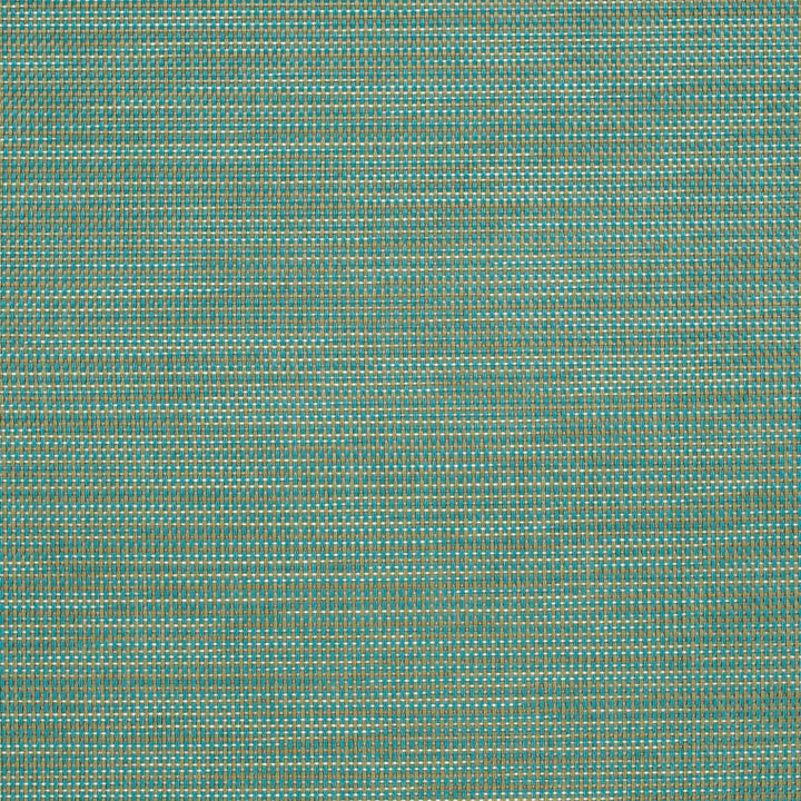 S303 Capri by Charlotte Fabric Sling II 100% Coated Polyester USA </p><p>Repeat: 54 Inches - Fabric Carolina -