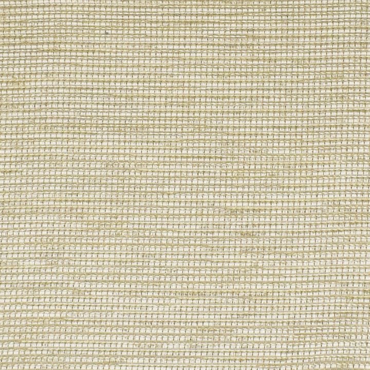 S3203 Champagne by Greenhouse Fabric 95% Polyester, 5% Viscose China 50,000 double rubs </p><p>Repeat: .125" V 55" - Fabric Carolina -