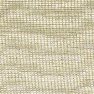 S3203 Champagne by Greenhouse Fabric