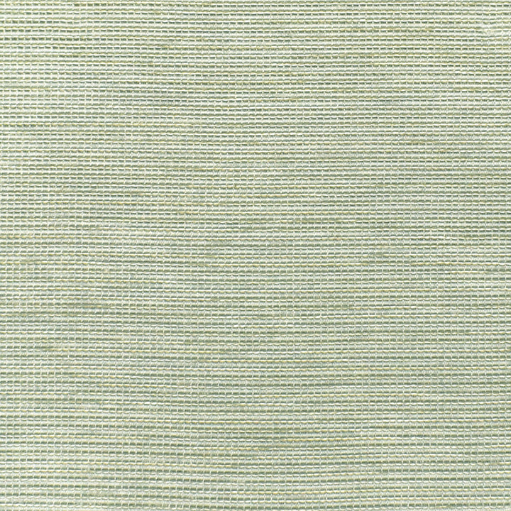 S3216 Foam by Greenhouse Fabric M03: Memos by Color 95% Polyester, 5% Viscose China 50,000 double rubs </p><p>Repeat: .125" V 55" - Fabric Carolina -