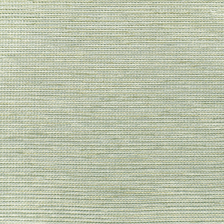 S3216 Foam by Greenhouse Fabric 95% Polyester, 5% Viscose CHINA 50,000 </p><p>Repeat: .125" V 55" - Fabric Carolina -