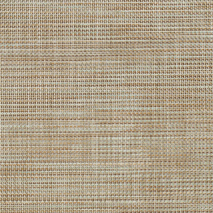 S322 Jute by Charlotte Fabric Sling II 100% Coated Polyester USA </p><p>Repeat: 54 Inches - Fabric Carolina -