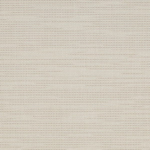 S324 Putty by Charlotte Fabric