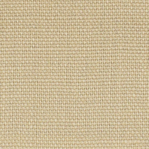 S3286 Canvas by Greenhouse Fabric