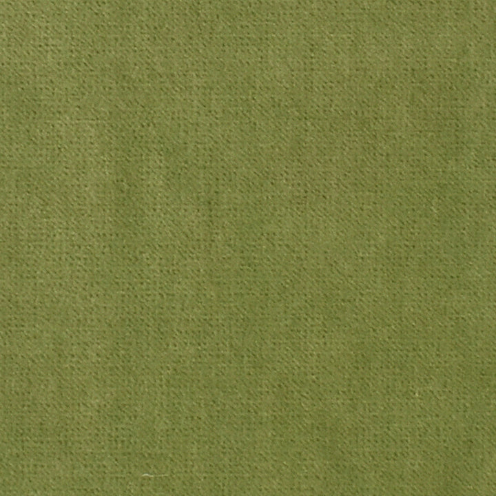 S3325 Sprout by Greenhouse Designer Fabric S44: Velvet Essentials 75% Polyester, 25% Cotton China 201,000 double rubs </p><p>Repeat: None 54" - Swanky Fabrics -