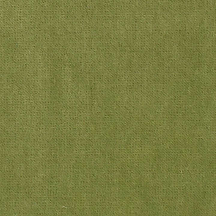 S3325 Sprout by Greenhouse Fabric 75% Polyester, 25% Cotton CHINA 201,000 </p><p>Repeat: None 54" - Fabric Carolina -