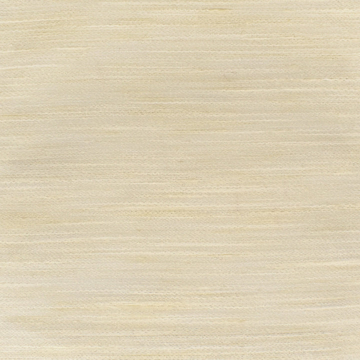 S3349 Sugarcane by Greenhouse Fabric 100% Polyester India Drapery double rubs </p><p>Repeat: None 54" - Fabric Carolina -