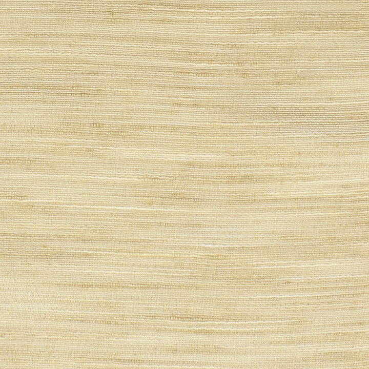 S3352 Sea Salt by Greenhouse Fabric 100% Polyester India Drapery double rubs </p><p>Repeat: None 54" - Fabric Carolina -