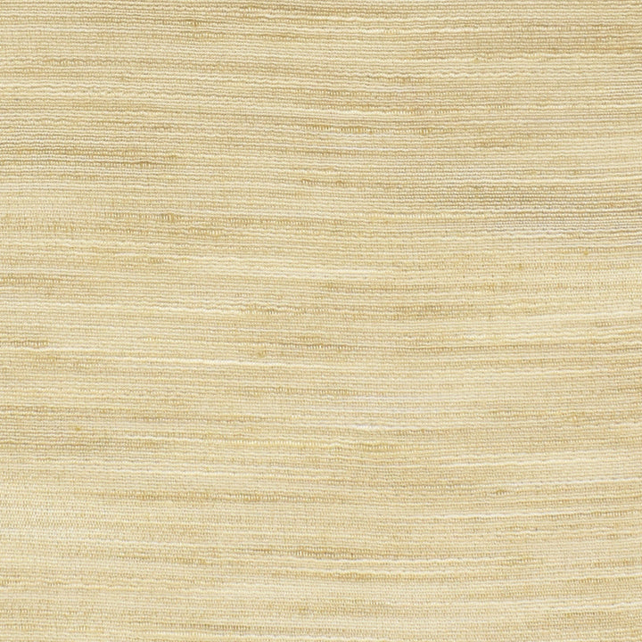 S3352 Sea Salt by Greenhouse Designer Fabric 100% Polyester INDIA Drapery </p><p>Repeat: None 54" - Swanky Fabrics -