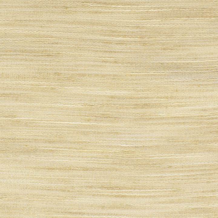 S3352 Sea Salt by Greenhouse Fabric 100% Polyester INDIA Drapery </p><p>Repeat: None 54" - Fabric Carolina -