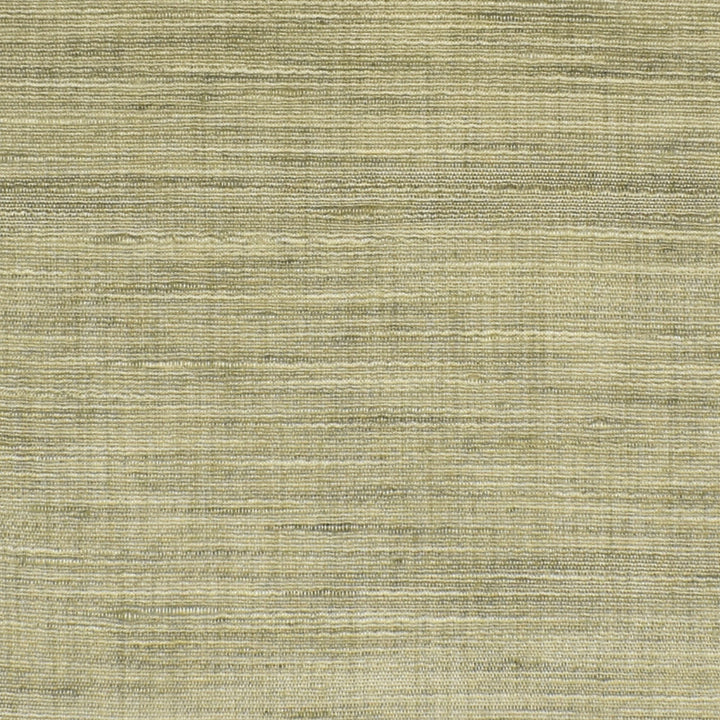 S3394 Celadon by Greenhouse Fabric 100% Polyester INDIA Drapery </p><p>Repeat: None 54" - Fabric Carolina -