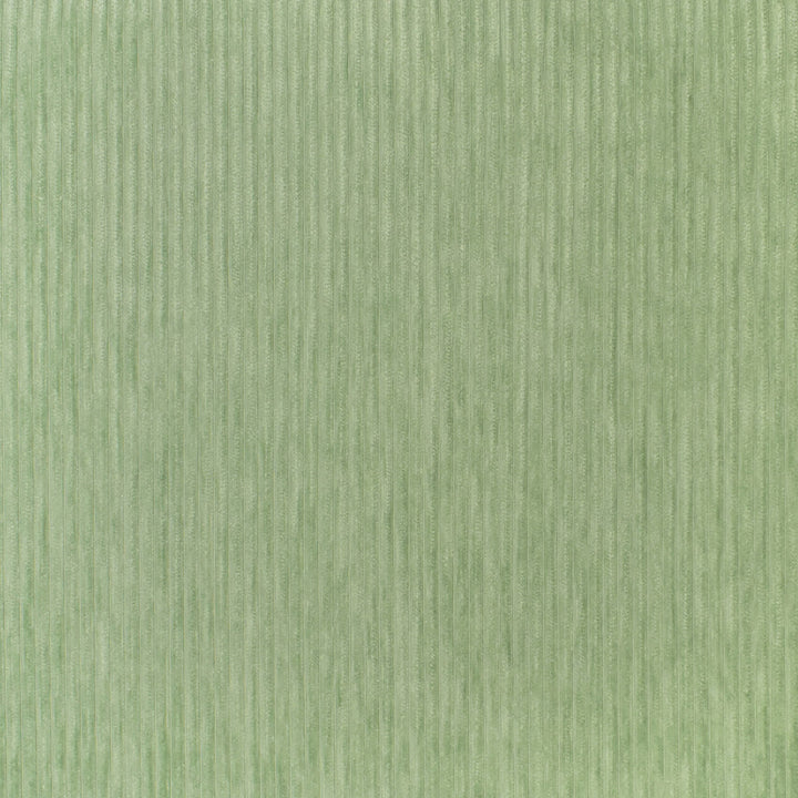 S3537 Mint by Greenhouse Fabric 100% Polyester China 50,000 double rubs </p><p>Repeat: None 54" - Fabric Carolina -