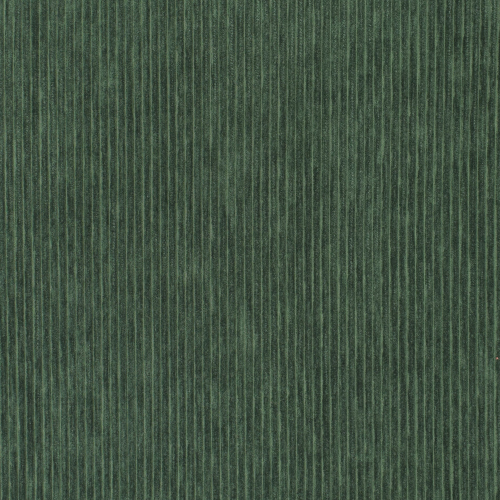S3542 Forest by Greenhouse Fabric S47: Crypton Home Colors 100% Polyester China 50,000 double rubs Soil & Stain Repellent </p><p>Repeat: None 54" - Fabric Carolina -