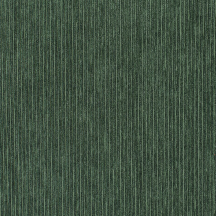 S3542 Forest by Greenhouse Fabric S47: Crypton Home Colors 100% Polyester China 50,000 double rubs Soil & Stain Repellent </p><p>Repeat: None 54" - Fabric Carolina -