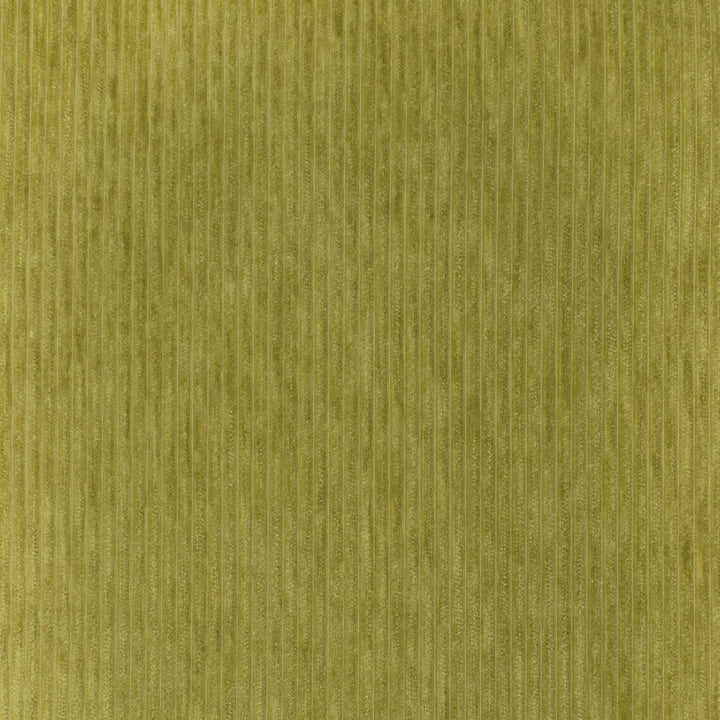 S3545 Granny Smith by Greenhouse Designer Fabric 100% Polyester China 50,000 double rubs </p><p>Repeat: None 54" - Swanky Fabrics -