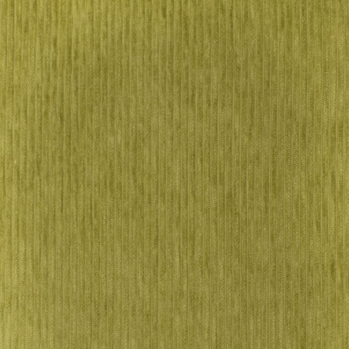 S3545 Granny Smith by Greenhouse Designer Fabric 100% Polyester China 50,000 </p><p>Repeat: None 54" - Swanky Fabrics -