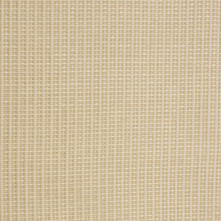 S3680 Cameo by Greenhouse Designer Fabric 37.83% Pcr Polyester, 29.33% Polyester, 19.31% Rayon, 13.53% Cotton USA 33,000 double rubs </p><p>Repeat: .313" H, .063" V 55" - Swanky Fabrics -