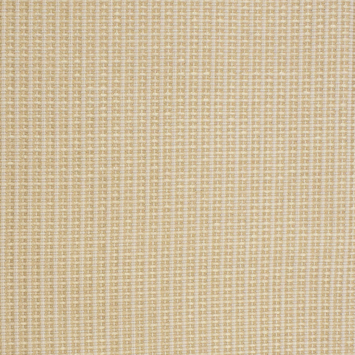S3680 Cameo by Greenhouse Fabric 37.83% Pcr Polyester, 29.33% Polyester, 19.31% Rayon, 13.53% Cotton USA 33,000 double rubs </p><p>Repeat: .313" H, .063" V 55" - Fabric Carolina -