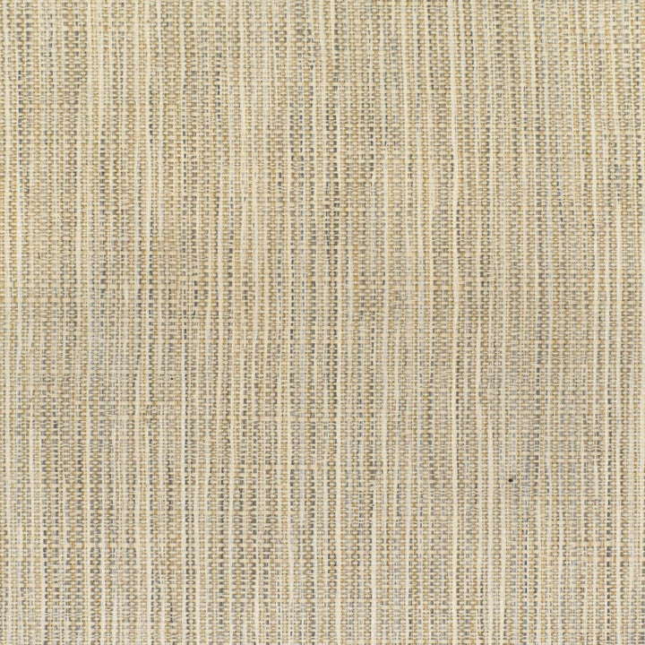 S3683 Snow by Greenhouse Fabric S48: Crypton Home Neutrals 63.47% Olefin, 36.53% Cotton USA 33,000 double rubs Performance </p><p>Repeat: 7.063" H, 16.5" V 55" - Fabric Carolina -