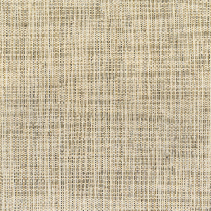S3683 Snow by Greenhouse Fabric 63.47% Olefin, 36.53% Cotton USA 33,000 </p><p>Repeat: 7.063" H, 16.5" V 55" - Fabric Carolina -