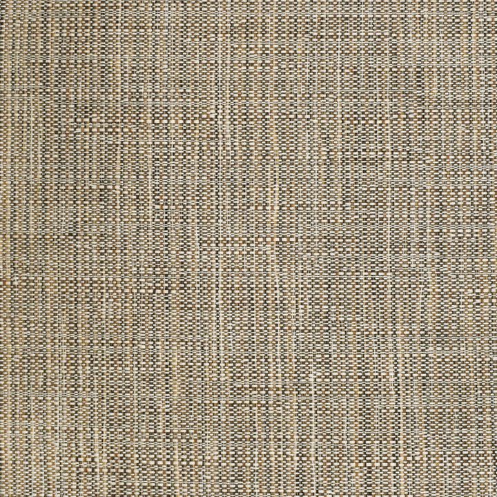 S3703 Twig by Greenhouse Designer Fabric 63.47% Olefin, 36.53% Cotton USA 33,000 double rubs </p><p>Repeat: 7.063" H, 16.5" V 55" - Swanky Fabrics -