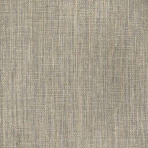S3717 Chrome by Greenhouse Fabric