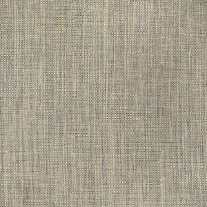 S3717 Chrome by Greenhouse Fabric