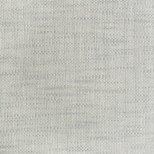 S3753 Cloud by Greenhouse Fabric