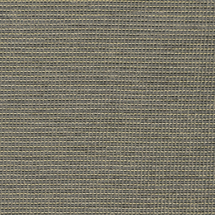 S3831 Mercury by Greenhouse Designer Fabric S51: Granite 95% Polyester, 5% Viscose China 50,000 double rubs </p><p>Repeat: None 55" - Swanky Fabrics -