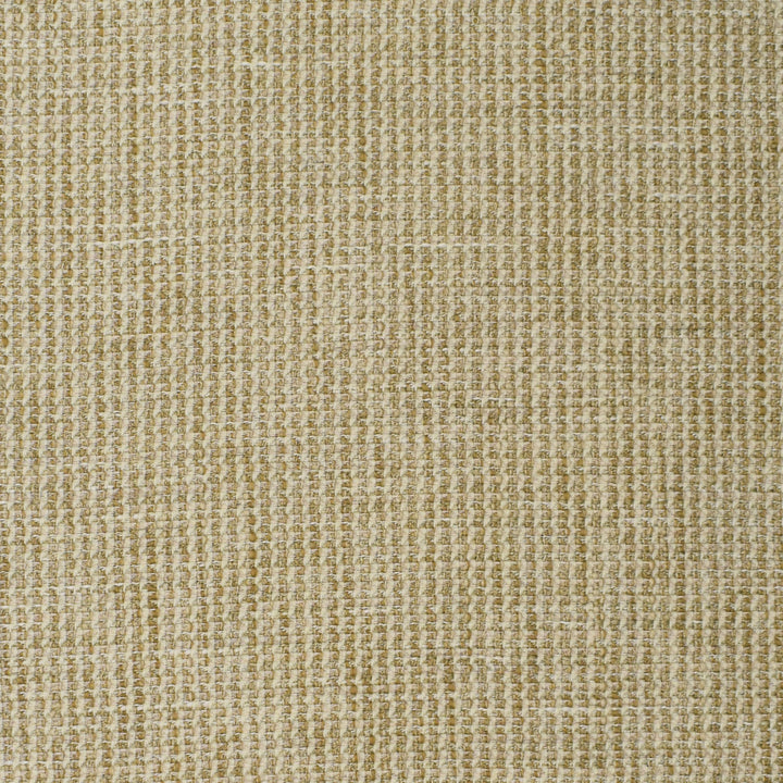 S3887 Stonewash by Greenhouse Fabric 100% Polyester India 100,000 double rubs </p><p>Repeat: None 56" - Fabric Carolina -