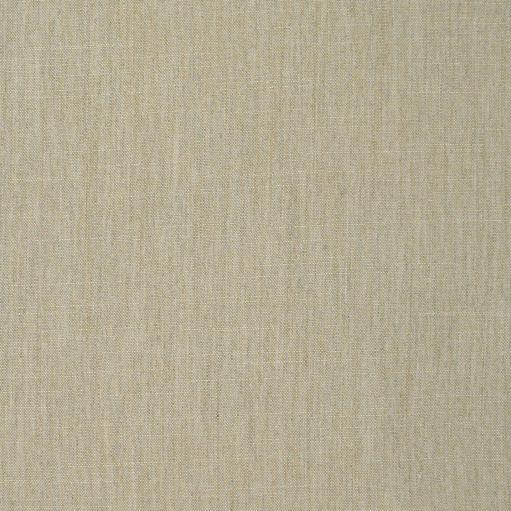 S3905 Natural by Greenhouse Designer Fabric S52: Oyster 100% Polyester India 30,000 double rubs </p><p>Repeat: None 54" - Swanky Fabrics -