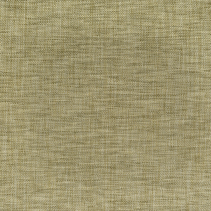 S3922 Sand by Greenhouse Fabric 63% Polyester, 35% Viscose, 2% Polyamide China 37,000 double rubs </p><p>Repeat: None 55" - Fabric Carolina -