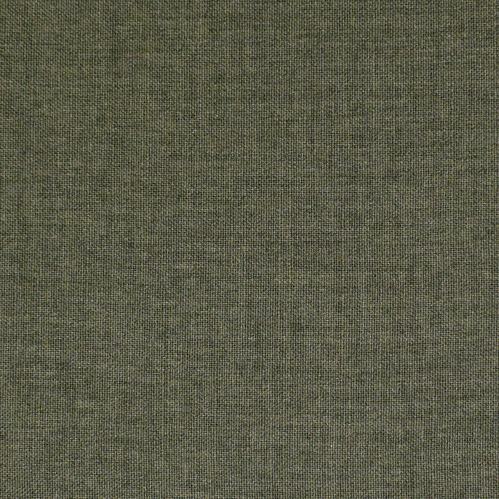 S3939 Forest by Greenhouse Fabric 100% Polyester India 30,000 double rubs </p><p>Repeat: None 54" - Fabric Carolina -