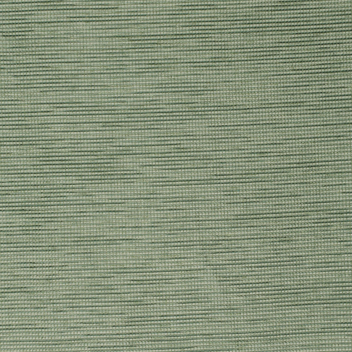 S3940 Juniper by Greenhouse Designer Fabric S53: Meadow 95% Polyester, 5% Viscose China 50,000 double rubs </p><p>Repeat: None 55" - Swanky Fabrics -