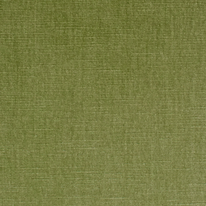 S3952 Aloe by Greenhouse Fabric 62% Polyester, 38% Cotton India 51,000 double rubs </p><p>Repeat: None 54" - Fabric Carolina -