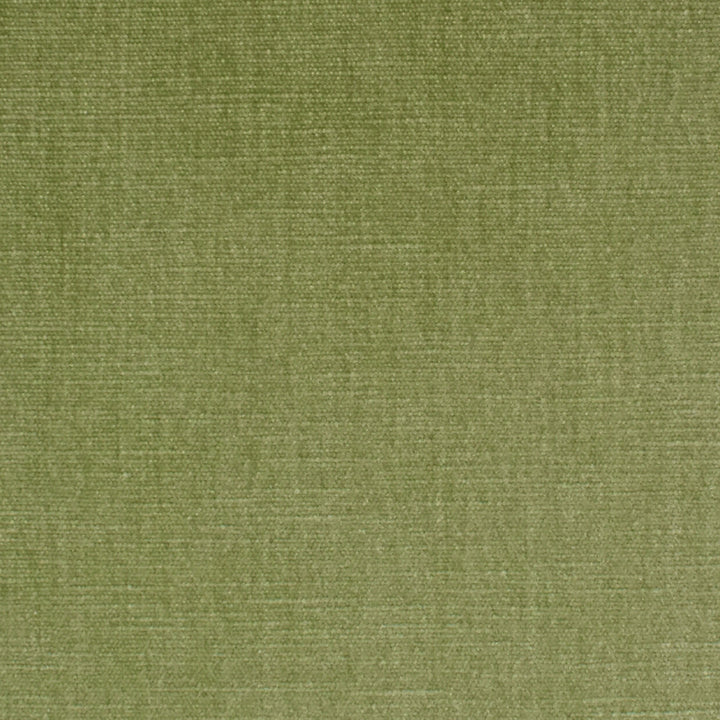 S3952 Aloe by Greenhouse Fabric S68: Performance Chenille 62% Polyester, 38% Cotton India 51,000 double rubs Water & Soil Repellent </p><p>Repeat: None 54" - Fabric Carolina -