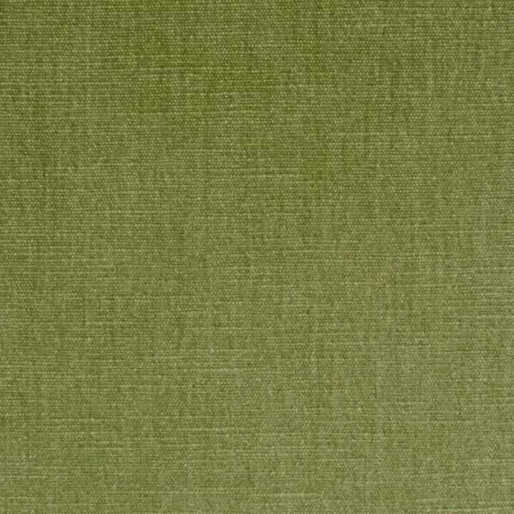 S3952 Aloe by Greenhouse Designer Fabric 62% Polyester, 38% Cotton India 51,000 double rubs </p><p>Repeat: None 54" - Swanky Fabrics -