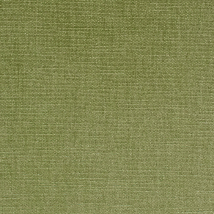 S3952 Aloe by Greenhouse Fabric 62% Polyester, 38% Cotton India 51,000 </p><p>Repeat: None 54" - Fabric Carolina -