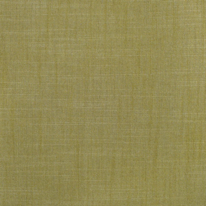 S3954 Fern by Greenhouse Designer Fabric 100% Polyester India 30,000 double rubs </p><p>Repeat: None 54" - Swanky Fabrics -