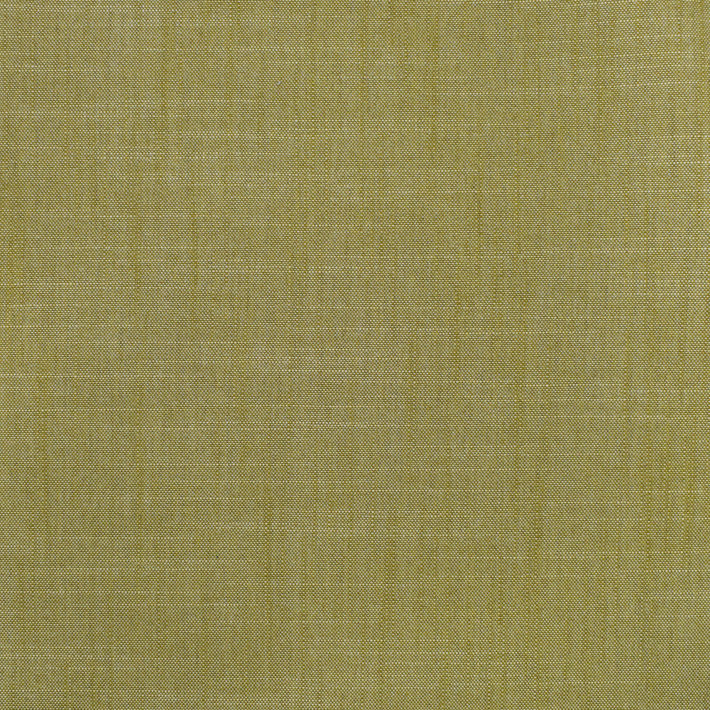 S3954 Fern by Greenhouse Fabric 100% Polyester India 30,000 </p><p>Repeat: None 54" - Fabric Carolina -