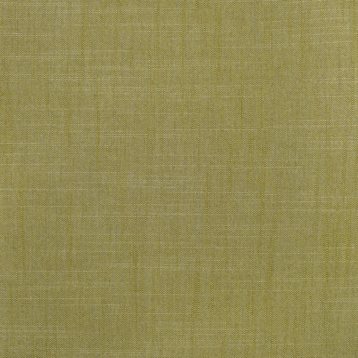 S3954 Fern by Greenhouse Fabric 100% Polyester India 30,000 </p><p>Repeat: None 54" - Fabric Carolina -