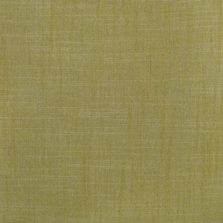 S3954 Fern by Greenhouse Fabric 100% Polyester India 30,000 double rubs </p><p>Repeat: None 54" - Fabric Carolina -