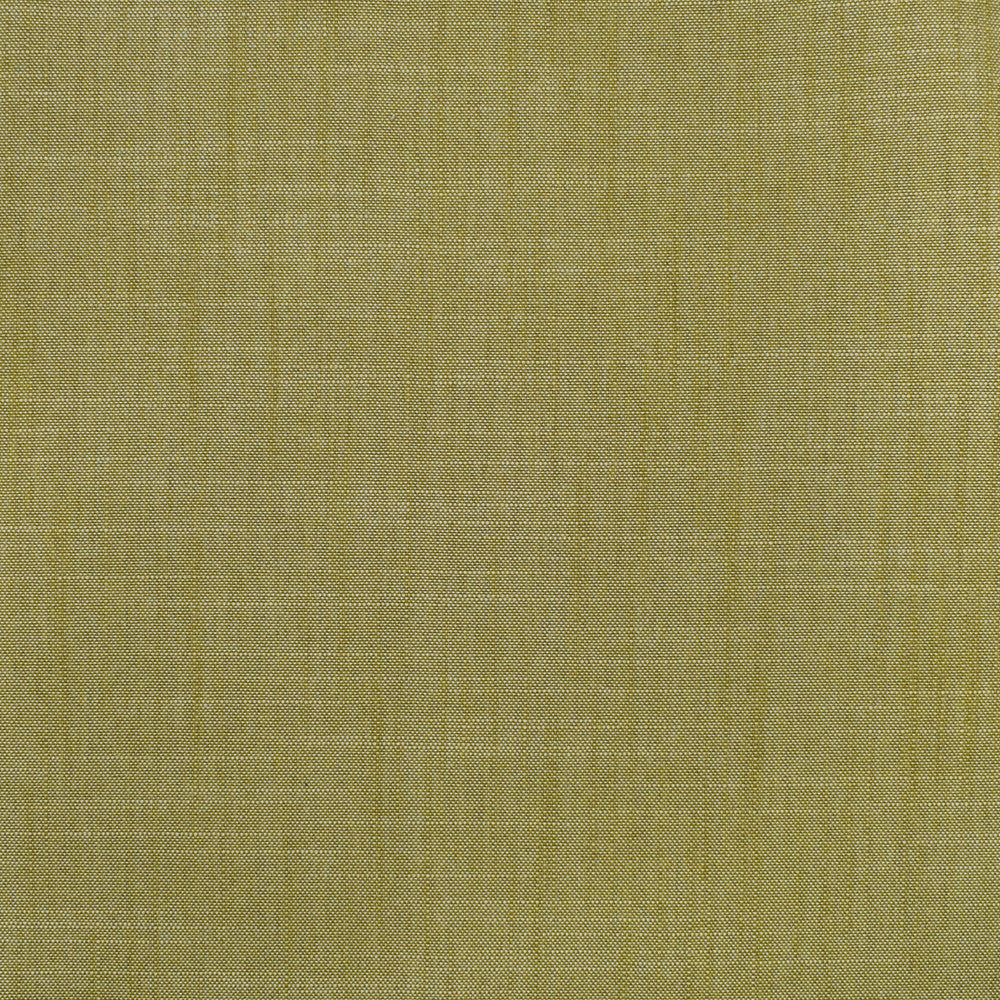 S3954 Fern by Greenhouse Fabric 100% Polyester India 30,000 double rubs </p><p>Repeat: None 54" - Fabric Carolina -