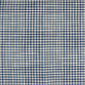 S4043 Atlantic by Greenhouse Fabric